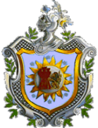 UNAN Managua team logo