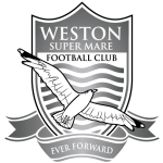 Weston-super-Mare team logo